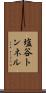 塩谷トンネル Scroll