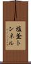 塩釜トンネル Scroll