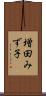 増田みず子 Scroll