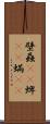 壁蝨(rK) Scroll