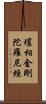 壤相金剛陀羅尼經 Scroll