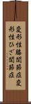 変形性膝関節症 Scroll