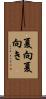 夏向 Scroll