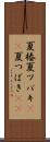 夏椿 Scroll