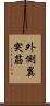外側翼突筋 Scroll