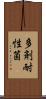 多剤耐性菌 Scroll