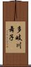 多岐川舞子 Scroll