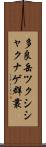 多良岳ツクシシャクナゲ群叢 Scroll