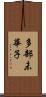 多部未華子 Scroll