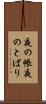夜の帳 Scroll