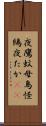 夜鷹 Scroll