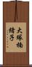 大塚楠緒子 Scroll