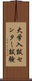 大学入試センター試験 Scroll