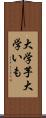 大学芋 Scroll