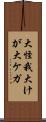 大怪我 Scroll