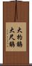 大杓鷸 Scroll