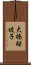 大橋桜坡子 Scroll