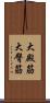 大殿筋 Scroll