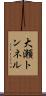 大瀬トンネル Scroll
