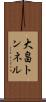 大畠トンネル Scroll