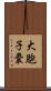 大胞子嚢 Scroll