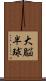 大脳半球 Scroll