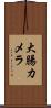 大腸カメラ Scroll