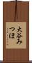 大谷みつほ Scroll