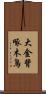 大金背啄木鳥 Scroll