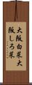 大阪白菜;大阪しろ菜 Scroll