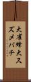 大雀蜂 Scroll