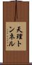 天理トンネル Scroll