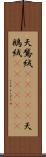 天鵞絨(ateji) Scroll