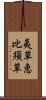 夷草 Scroll
