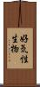 好気性生物 Scroll