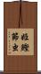 姫鰹節虫 Scroll