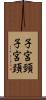 子宮頸 Scroll