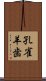 孔雀羊歯 Scroll