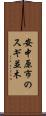 安中原市のスギ並木 Scroll