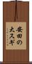 安田の大スギ Scroll