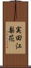実田江梨花 Scroll