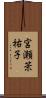 宮瀬茉祐子 Scroll