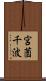 宮薗千波 Scroll