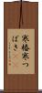 寒椿 Scroll