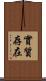 實質存在 Scroll