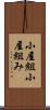 小屋組 Scroll