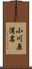 小川原浦名 Scroll