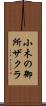 小木の御所ザクラ Scroll