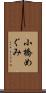 小橋めぐみ Scroll