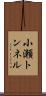小瀬トンネル Scroll